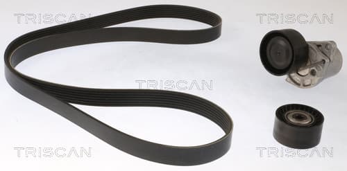 Micro-v remsät från TRISCAN