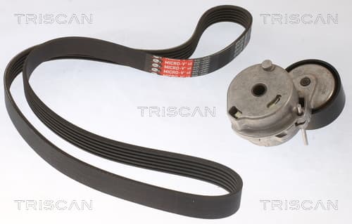Micro-v remsät från TRISCAN
