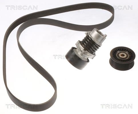 Micro-v remsät från TRISCAN