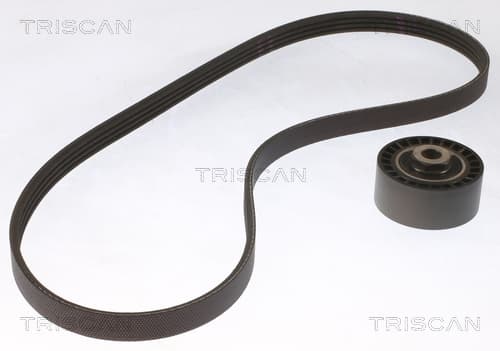 Micro-v remsät från TRISCAN