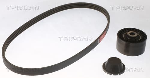 Micro-v remsät från TRISCAN