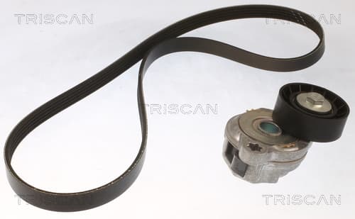 Micro-v remsät från TRISCAN