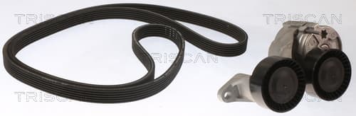 Micro-v remsät från TRISCAN