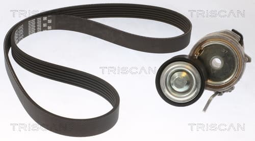 Micro-v remsät från TRISCAN