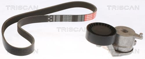 Micro-v remsät från TRISCAN