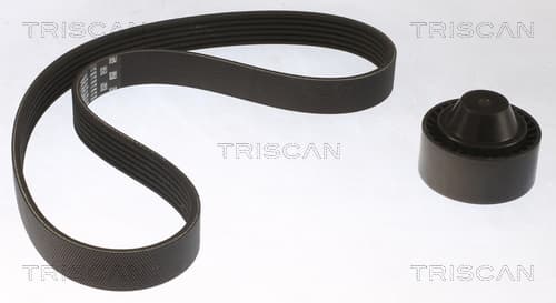 Micro-v remsät från TRISCAN
