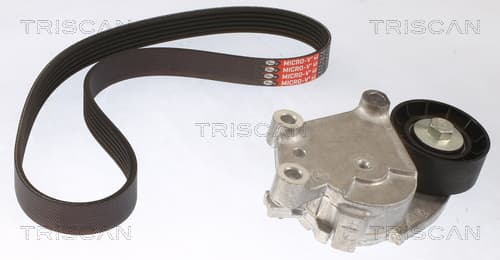 Micro-v remsät från TRISCAN