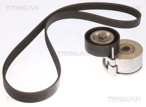 Micro-v remsät från TRISCAN