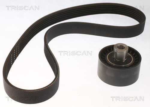 Micro-v remsät från TRISCAN