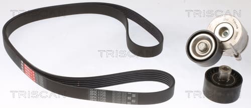 Micro-v remsät från TRISCAN