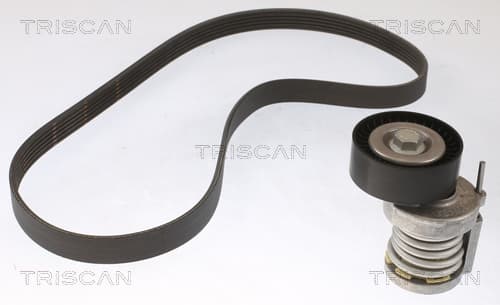 Micro-v remsät från TRISCAN