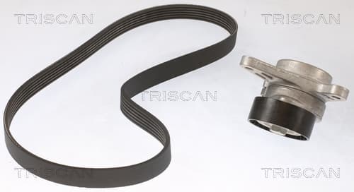 Micro-v remsät från TRISCAN