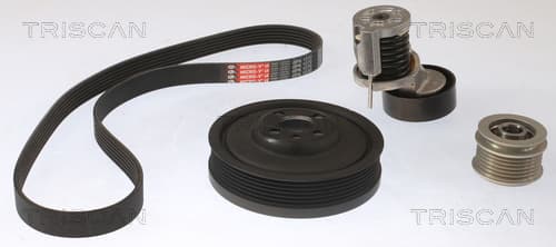 Micro-v remsät från TRISCAN