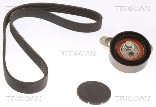Micro-v remsät från TRISCAN