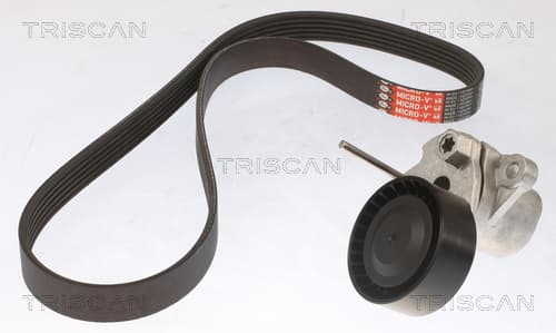 Micro-v remsät från TRISCAN