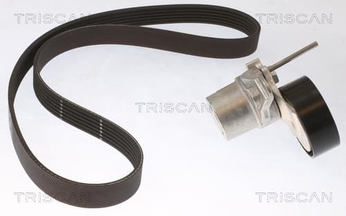 Micro-v remsät från TRISCAN