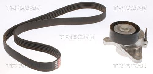 Micro-v remsät från TRISCAN