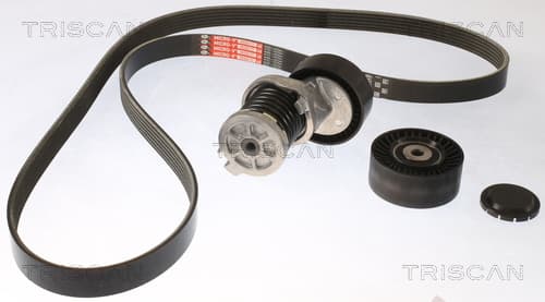 Micro-v remsät från TRISCAN