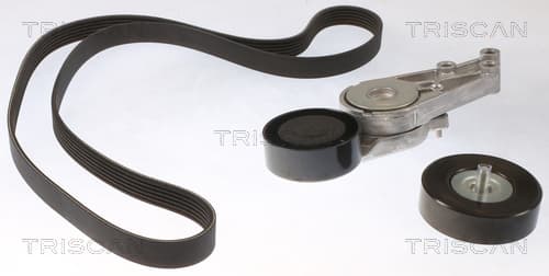 Micro-v remsät från TRISCAN