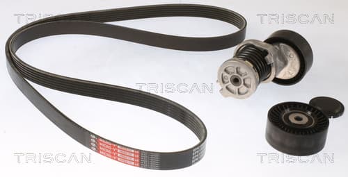 Micro-v remsät från TRISCAN