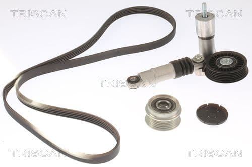 Micro-v remsät från TRISCAN