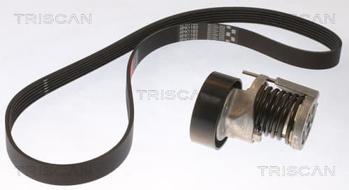 Micro-v remsät från TRISCAN