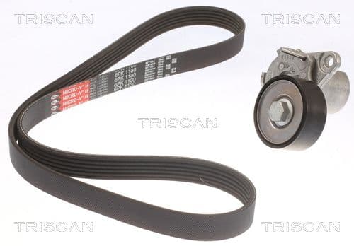 Micro-v remsät från TRISCAN