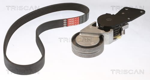 Micro-v remsät från TRISCAN