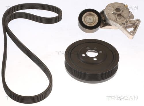 Micro-v remsät från TRISCAN