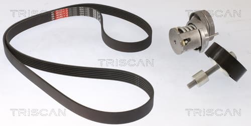 Micro-v remsät från TRISCAN