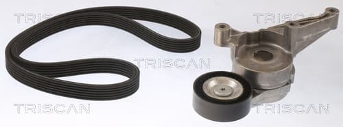 Micro-v remsät från TRISCAN