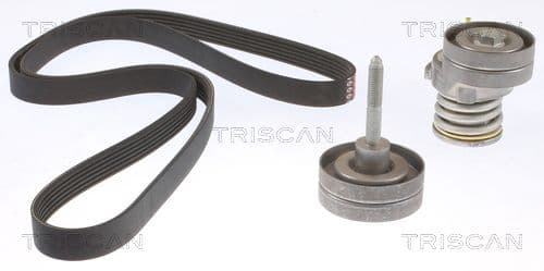 Micro-v remsät från TRISCAN
