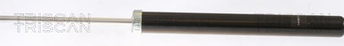 Triscan stötdâmpare från TRISCAN
