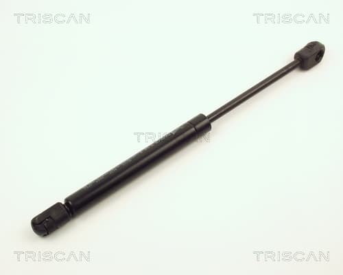 Gasfjäder bak från TRISCAN