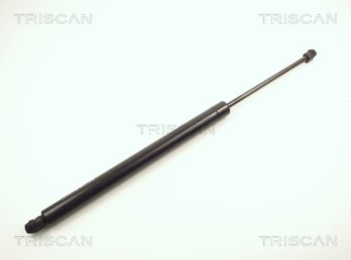 Gasfjäder bak från TRISCAN
