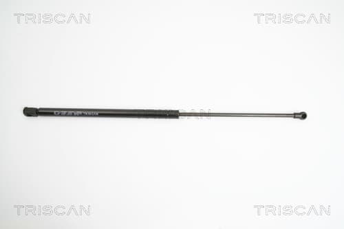 Gasfjäder bak från TRISCAN