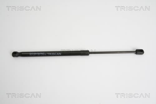 Gasfjäder bak från TRISCAN