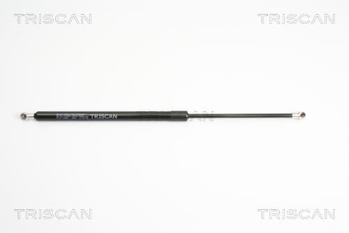 Gasfjäder bak från TRISCAN