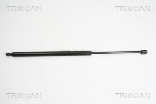Gasfjäder bak från TRISCAN