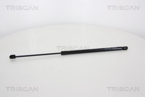 Gasfjäder bak från TRISCAN