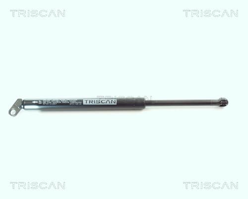 Gasfjäder bak från TRISCAN