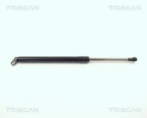 Gasfjäder bak från TRISCAN