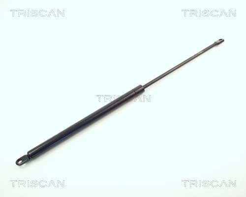 Gasfjäder bak från TRISCAN
