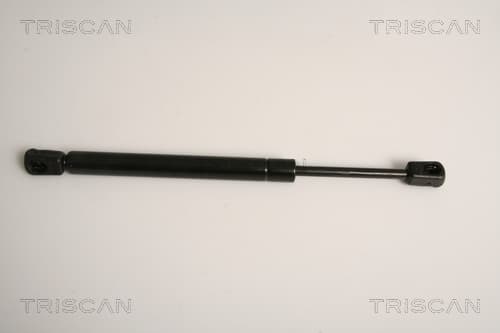 Gasfjäder bak från TRISCAN