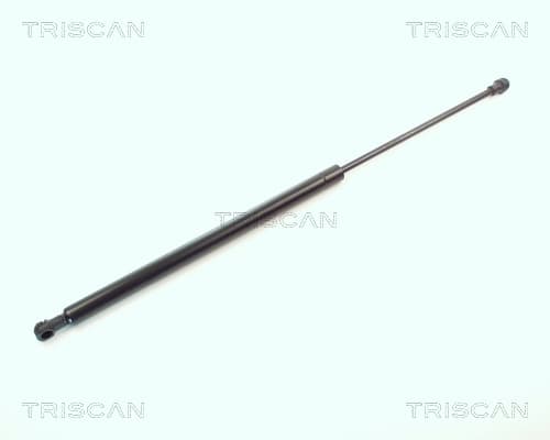 Gasfjäder bak från TRISCAN