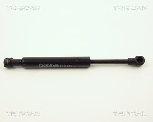 Gasfjäder bak från TRISCAN