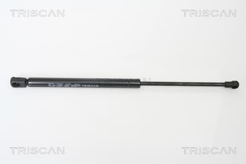 Gasfjäder bak från TRISCAN