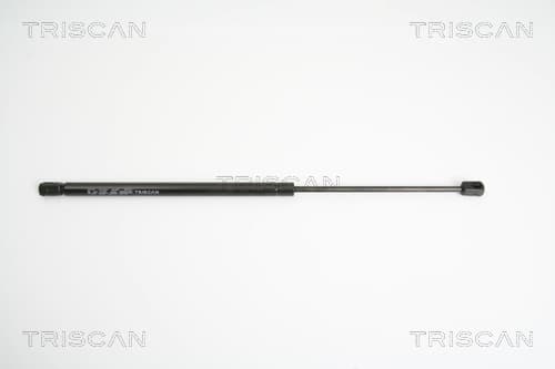 Gasfjäder bak från TRISCAN