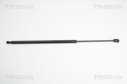 Gasfjäder bak från TRISCAN