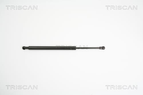 Gasfjäder bak från TRISCAN